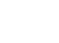 artist